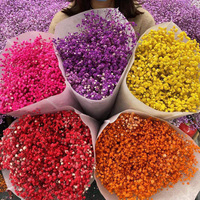 Flores Secas Naturales al por Mayor de Fábrica, Ramo de Gypsophila Preservada, para Bodas, Día de la Madre, Navidad, 400g
