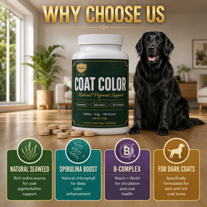 Comprimés de <span class=keywords><strong>spiruline</strong></span> et d'algues <span class=keywords><strong>pour</strong></span> la couleur du pelage des chiens à poils foncés – Soutien naturel des pigments, vitamines B, usage quotidien, marque privée - Product Image 4