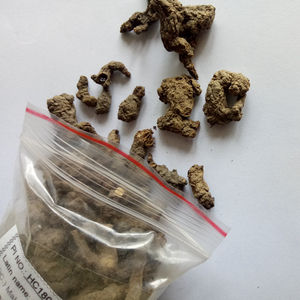 Tian Kui Zi, racine de musc noir séchée, semblable à la racine de Semiaquilegia, pour la médecine traditionnelle chinoise - Product Image 2