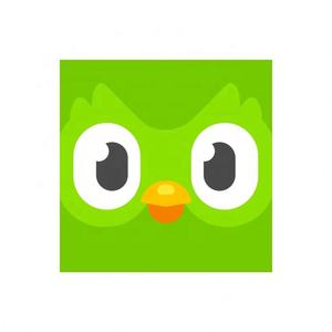 Cuenta Global de Duolingo, Duolingo Premium, Duolingo Super, 1 Año, 1, 3, 6, 12 Meses, Vincula tu Cuenta - Product Image 3