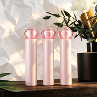 Tube de brillant à lèvres rose en plastique de 3 ml, flacon vide pour gloss avec applicateur à bille transparente, conteneur cosmétique à marque privée