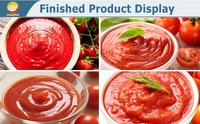 Ligne de production de ketchup de tomate à concentration entièrement automatique ORME