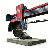 Scie à blocs de pierre multi-lames d'occasion, équipement de découpe robuste pour la production de granit, marbre et pierre naturelle