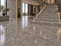 Dalles de marbre gris fossile de conque en pierre naturelle pour plateaux de table à manger, panneaux muraux, carreaux de sol, parois de douche et tables consoles
