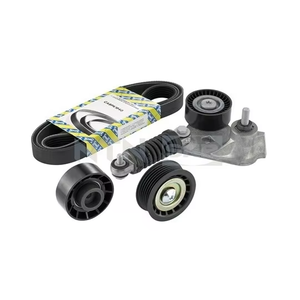 ชุดรอกปรับความตึงสายพานไทม์มิ่ง VKMA34031 1117008 1117009 1125415 1125419 1128896 - Product Image 2