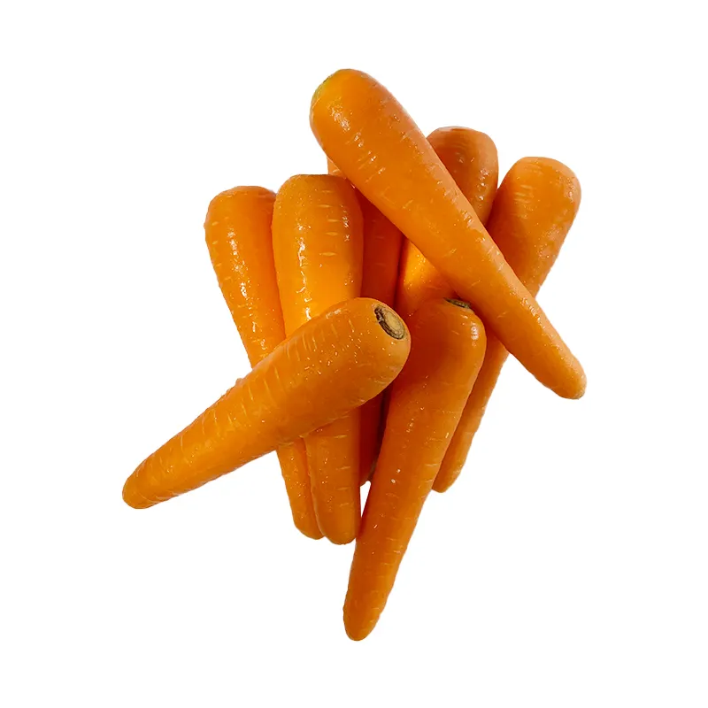 Купить морковь оптом. Натуральная морковь.