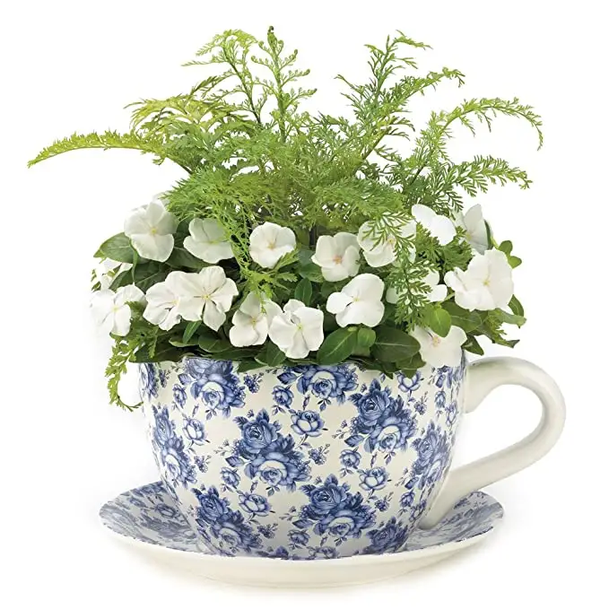 Керамическая чайная чашка в форме какаду, суккулента, цветочный плантатор с блюдцем, новый дизайн