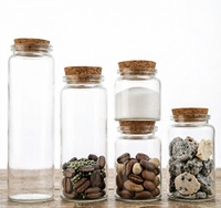 Botol Gabus Kaca Bening Serbaguna untuk Menyimpan Mie, Camilan, Gula, Bunga, Teh, Permen, Kemasan Black Wolfberry