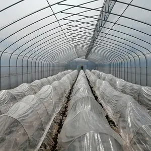 थोक बड़े आकार का सॉ टूथ ग्रीनहाउस प्लास्टिक फिल्म कृषि हाइड्रोपोनिक ग्रीनहाउस