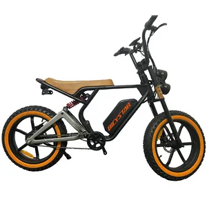 Cina produttore 500W bici elettriche per pneumatici grassi e-bike motore mtb 20 pollici biciclette elettriche grasse magazzino ue