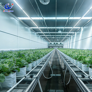 Mesa de Cultivo Hidropónico Vertical con Sistema de Flujo y Reflujo, Banco Rodante Premium para Cultivo Interior - Product Image 3