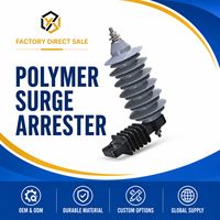 Parafoudre 36KV 33KV 30KV 27KV 24KV 22KV 18KV 15KV 12KV 11KV 10KV 9KV en caoutchouc silicone YH5W/YH10W pour transmission d'énergie électrique