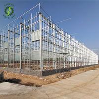 Serres agricoles en verre à travées multiples équipées d'un système de culture hydroponique NFT Farm Hydroponic System