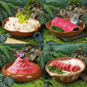 Ensemble de vaisselle pour fondue, plateau de bœuf neuf secondes, bol à glace, plateau à glace sèche, plat de service pour bœuf flocon de neige, usage hôtelier et restaurant - Product Image 1
