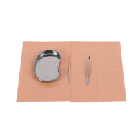 Bavoirs dentaires jetables 500 pièces colorés imperméables pour hôpital 33x45cm certifiés CE pour dentiste, alimentation manuelle