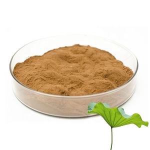 مسحوق خلاصة ورقة اللوتس لتخفيف الوزن بعينة مجانية وجودة عالية يتم توريده من B.C.I مستخلص ورقة اللوتس النوكيفرين بنسبة 1% و2% - Product Image 1