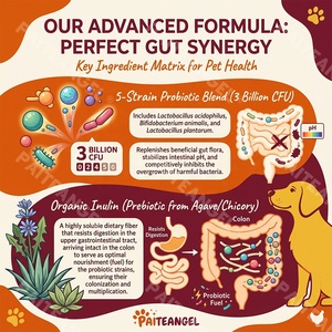 Probióticos para Mascotas, Soporte para la Salud Intestinal, Masticables Blandos, 120 Unidades, Prebióticos, Enzimas, Anti-Diarrea, Marca Privada, Suplemento para Perros - Product Image 2