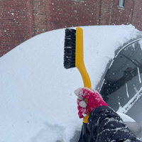 MESOROCK Grattoir à glace de fenêtre en ABS robuste avec logo Grattoirs à brosse détachables pour pelle à neige de voiture avec poignée en mousse ergonomique