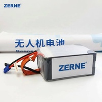 Batterie Li-polymère pour drone agricole de pulvérisation, prix d'usine, longue autonomie, 44,4 V, 12S, 30000 mAh