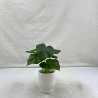 Assortiment de mini bonsaïs cactus, plantes succulentes artificielles en pot, fausse verdure résistante aux UV, plantes vertes persistantes pour la décoration de bureau et de maison