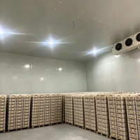 0 ° C à -25 ° Chambre froide isolée avec unité de condensation pour congélateur et stockage