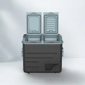 WAYCOOL WE65 58L AC100 ~ 240V frigorifero per auto personalizzato con doppia temperatura e doppia funzione di controllo per la pesca