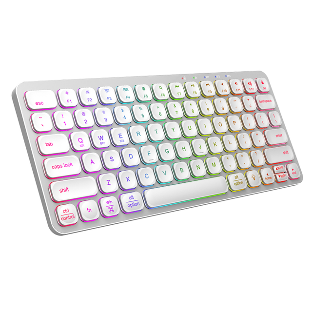 HK8049 New Ultra-Slim Wireless 2.4Ghz Keyboard for iPad with USB-C Ergonomic Design Membrane Switch RGB Backlit