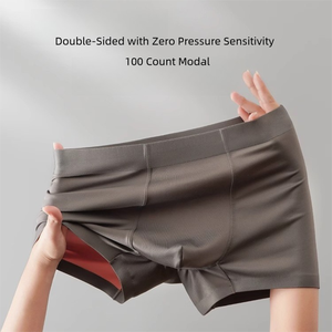 Boxers pour hommes en modal 100s, sans couture, tailles <span class=keywords><strong>L</strong></span>-4XL, entrejambe en soie, sous-vêtements premium en une seule pièce - Product Image 4