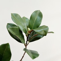 Feuilles de magnolia artificielles, branches de magnolia, décorations de table à manger, aménagement paysager végétal, arrangement floral