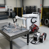 Robot de soudage à arc multi-axes DONSIN pour applications de soudage complexes
