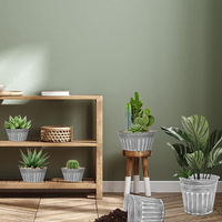 Pots de plantes rustiques en métal argenté de 7 pouces bon marché Pots de fleurs vintage galvanisés peu profonds avec trou de vidange seau en métal antirouille