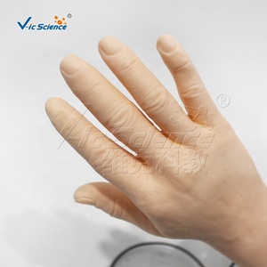 Modelo Avanzado de Venopunción Electrónica, Maniquí Inteligente para Práctica de Punción IV para Enfermeras - Product Image 2