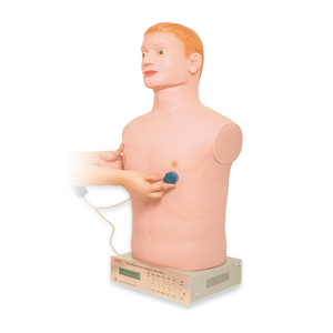 Manichino per Auscultazione Mezzo Busto di Alta Qualità per Medici Generali, Materiale Didattico - Product Image 2