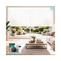 Persianas Enrollables Motorizadas Inteligentes con Control Remoto Automatizado Zigbee Alexa, Personalizadas, Eléctricas, Opacas, para Ventana