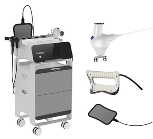 पेशेवर फिजियोथेरेपी डायथेरमी मशीन रेट सीट रेडियो आवृत्ति दर्द राहत भौतिक चिकित्सा दीबा 448 खज उपकरण - Product Image 1