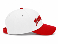 Casquette de baseball incurvée à 6 panneaux avec broderie 3D stéréoscopique alphabet léopard pour hommes et femmes, idéale pour les activités sportives en extérieur