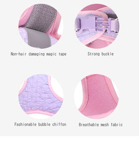 Beirui 2025犬用ハーネスリーシュセット軽量通気性空気層パッド入りステップキャンディーカラーソリッドパピー - Product Image 5