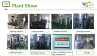 Hainan Fabriek Prijs Hoge Kwaliteit Natuurlijke Noni Fruit Extract Sap Concentraat Geëxporteerd Naar Usa, Eurpore, Thailand, India, Tahiti