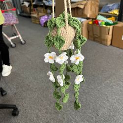 Hanging Basket White Flower