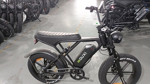 Hà Lan kho ouxi V8 20inch chất béo lốp xe đạp điện 48V 15A ĐĨA PHANH 250W 25 km/h chất béo lốp xe đạp trong netherlan - Product Image 3