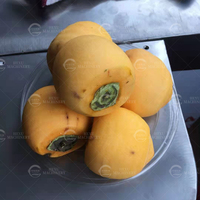 Fabrieksdirect zware industriële fruitenschiller voor sinaasappel, citroen, passievrucht, appel en citrusvruchten