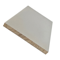 Ligne de production de laminage PUR. Haute efficacité, qualité supérieure, haute capacité, entièrement automatisé, panneaux de particules MDF, contreplaqué