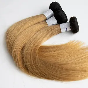 Gekleurd Menselijk Haar Bundels Braziliaanse Wirwar Gratis Zacht Recht 1b/27 Hair Extensions