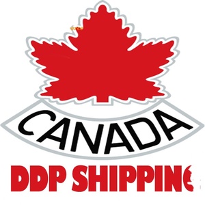 Expédition de fret de Chine vers le Canada : Transport aérien rapide personnalisé avec dédouanement et taxes, expédition maritime FCL LCL DDP, inspection qualité - Product Image 2