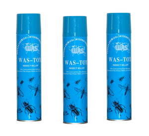 Insecticide en aérosol fourni par l'usine, étiquette personnalisée OEM ODM, insecticide ménager contre les moustiques et les cafards - Product Image 2