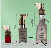 Extracteur de Jus Lent Commercial Double Engrenage Multifonction pour Pommes, Gingembre et Tous Types de Fruits