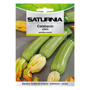 Semillas de Calabacín Verde Oscuro (5 gramos) - Product Image 1