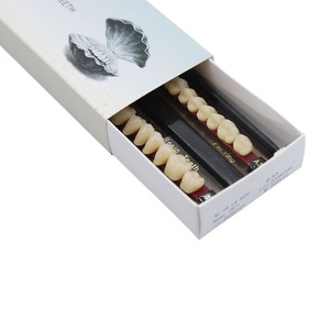 Consommables dentaires : Kits complets de prothèses dentaires en résine synthétique, <span class=keywords><strong>deux</strong></span> couches, 28 <span class=keywords><strong>dents</strong></span> - Product Image 1