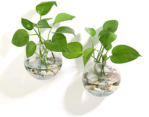HOT Wall Hanging Propagation Glass Plant Terrarium <b>Container</b> Shape for Propagating Hydroponic Home Office Garden Decor - Product Image 2