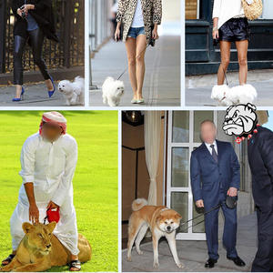 Laisse de <span class=keywords><strong>chien</strong></span> rétractable de 5 m en gros, laisse longue pour animaux de compagnie, laisse automatique pour chiens forts, corde en nylon durable - Product Image 3